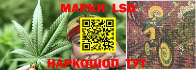 дмт Канаш