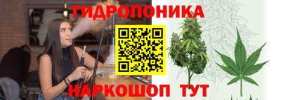 дмт Канаш