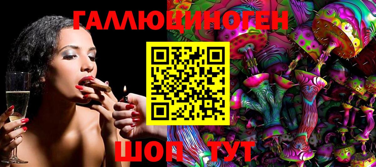 Галлюциногенные грибы Psilocybe  Вход с VPN  Лесосибирск 