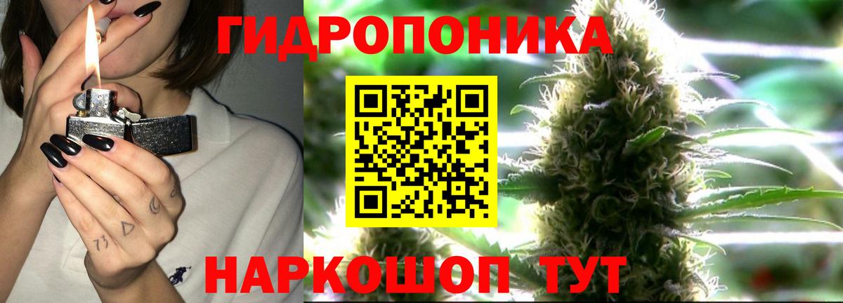 Бошки марихуана LSD WEED  Каннабис гибрид  Лесосибирск  Бошки марихуана OG Kush  Вход с VPN  Шишки марихуана White Widow 